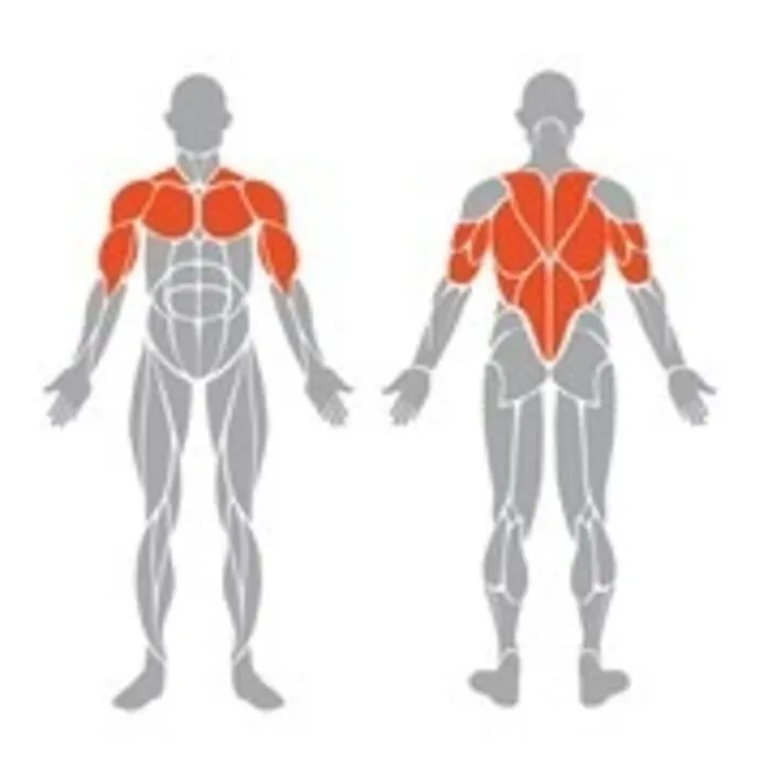 Spirit Strength Selectorized Assisted Dip/Chin Machine - gratis montage