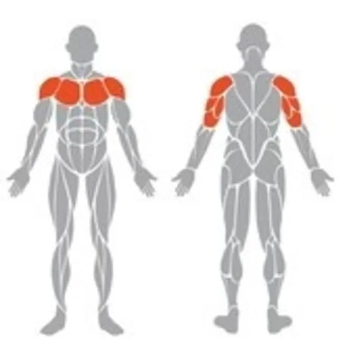 Spirit Strength Selectorized Shoulder Press Machine - gratis montage