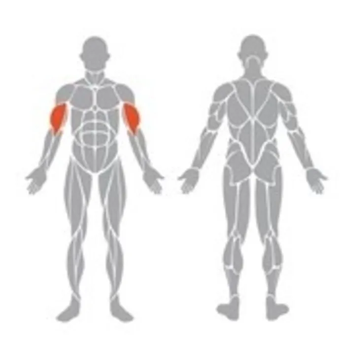 Spirit Strength Selectorized Biceps Curl Machine - gratis montage