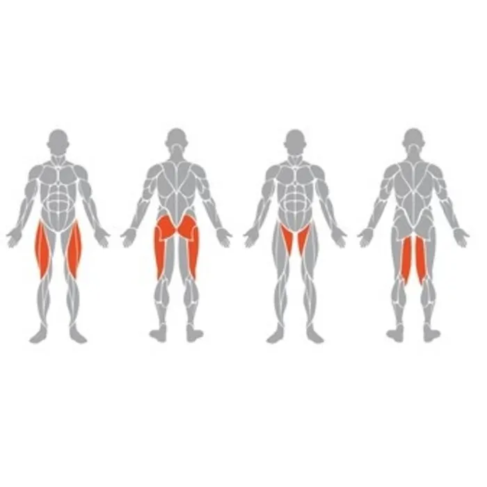 Spirit Strength Selectorized Hip abduction/adduction Machine - gratis montage