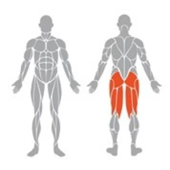 Spirit Strength Selectorized Prone Leg Curl Machine - gratis montage