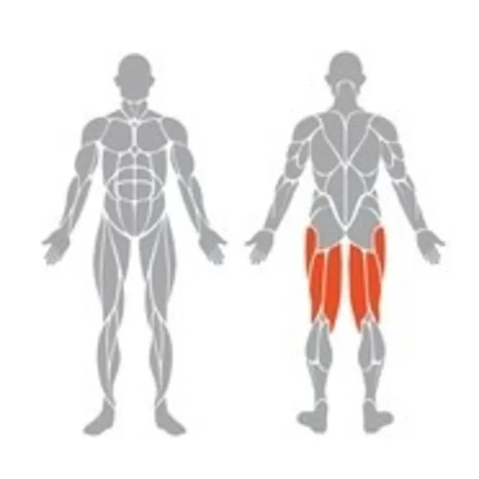 Spirit Strength Selectorized Seated Leg Curl Machine - gratis montage