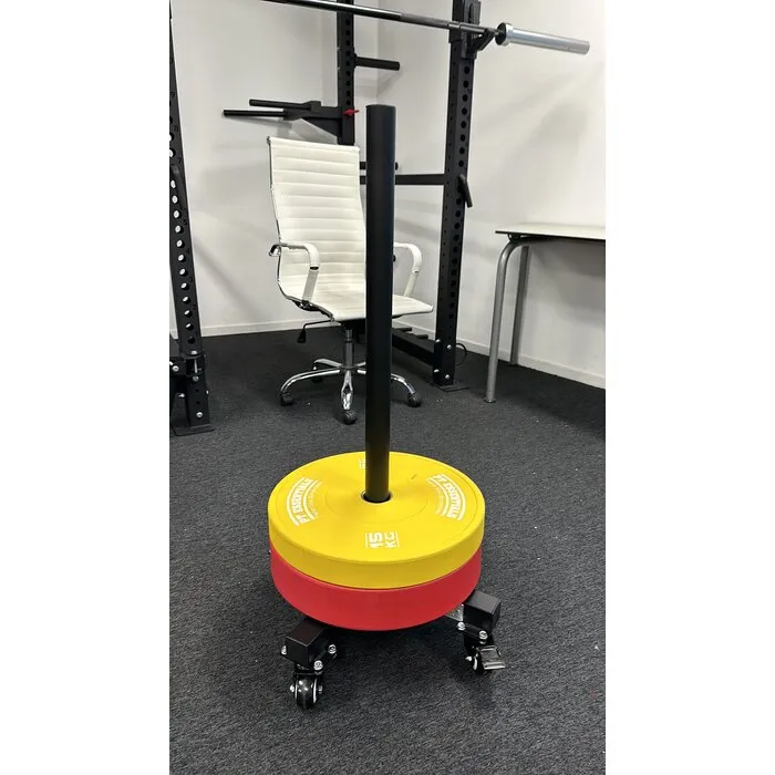 PTessentials BSS100 Bumperplate Stacker - verrijdbaar bumperplate opbergrek