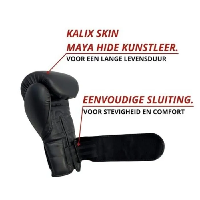 Bokshandschoenen Sparring - Kunstleer