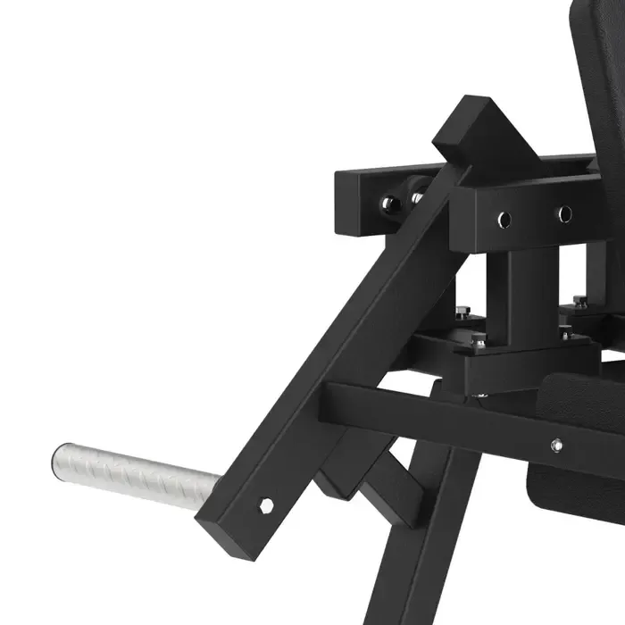 Toorx Professional AVANT - Lateral Raise FWX-6500