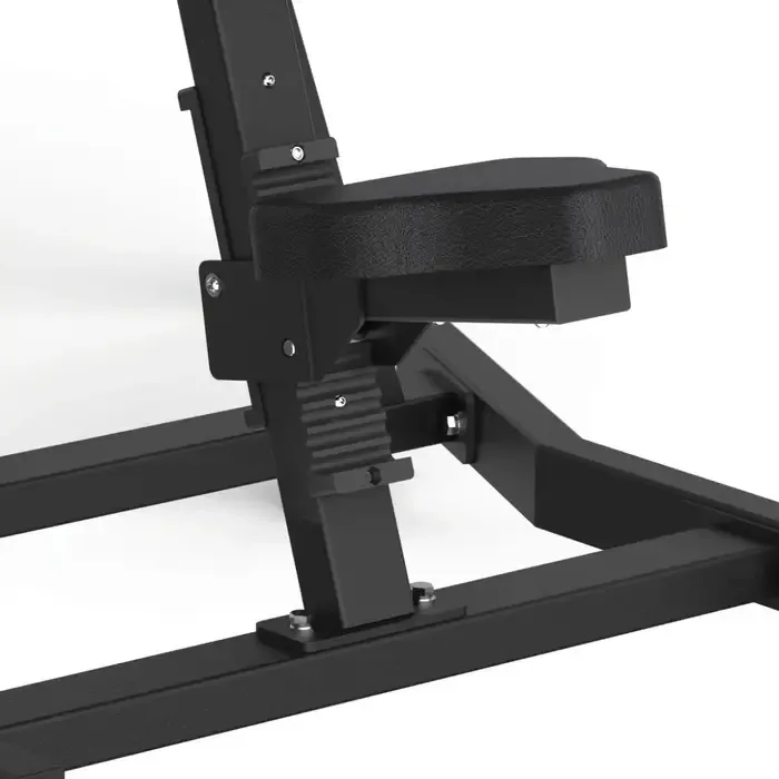 Toorx Professional AVANT - Lateral Raise FWX-6500