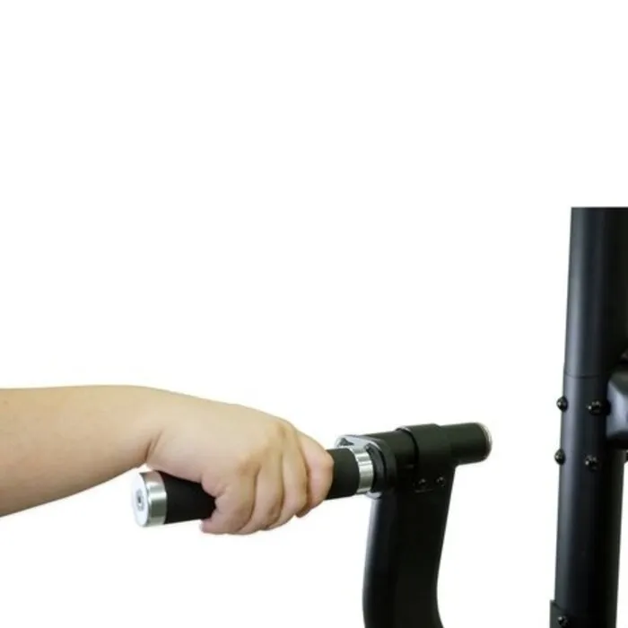 Inspire Fitness DUAL Station Chin Up DMCD - Gratis Montage