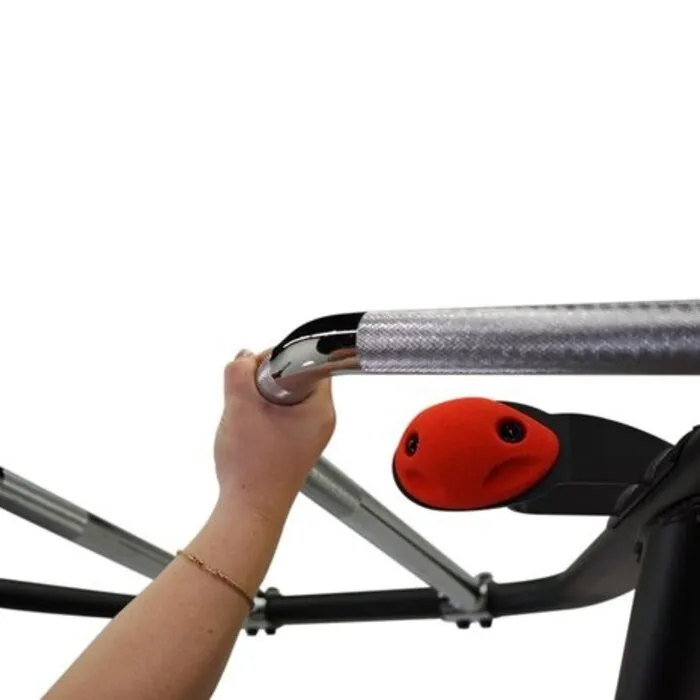 Inspire Fitness DUAL Station Chin Up DMCD - Gratis Montage