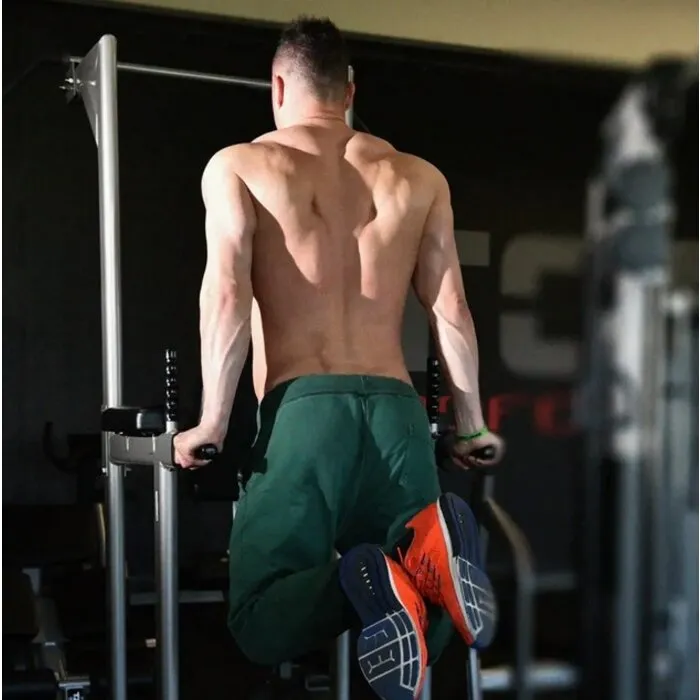 Toorx Professional WBX-B2800 Chin/Dip/Leg Raise