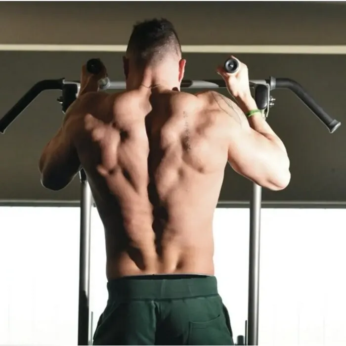 Toorx Professional WBX-B2800 Chin/Dip/Leg Raise