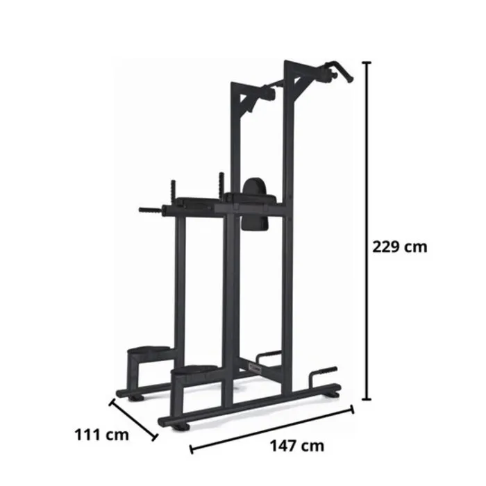 Toorx Professional WBX-B2800 Chin/Dip/Leg Raise
