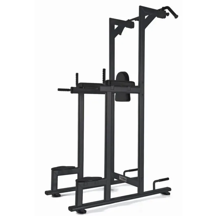 Toorx Professional WBX-B2800 Chin/Dip/Leg Raise