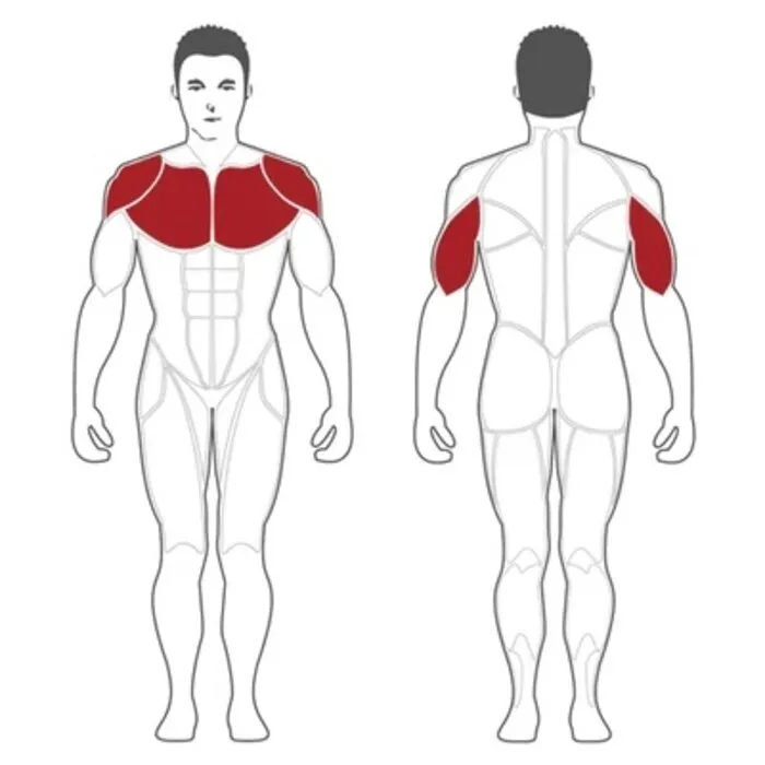 Steelflex Plate Loaded Seated Decline Press Machine