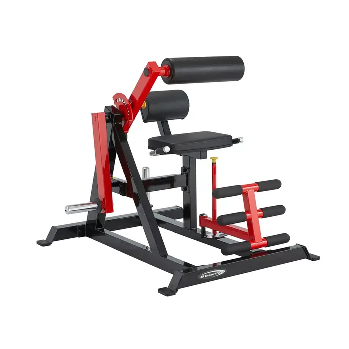 Steelflex PL2400-BR Ab Crunch & Back Extension Machine