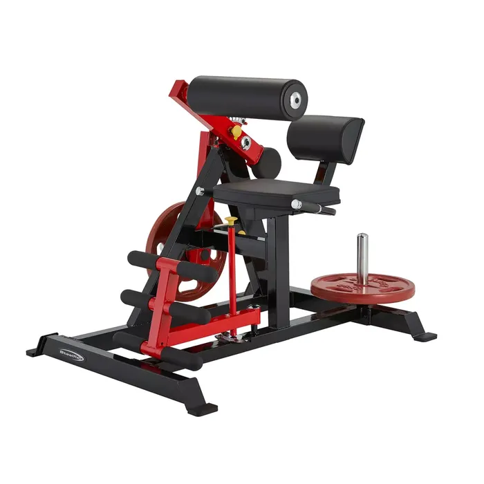 Steelflex PL2400-BR Ab Crunch & Back Extension Machine