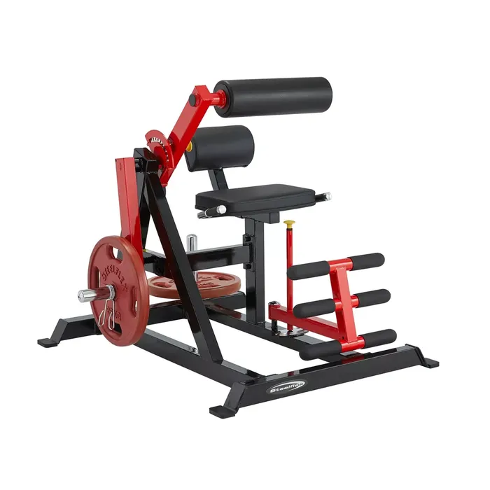 Steelflex PL2400-BR Ab Crunch & Back Extension Machine