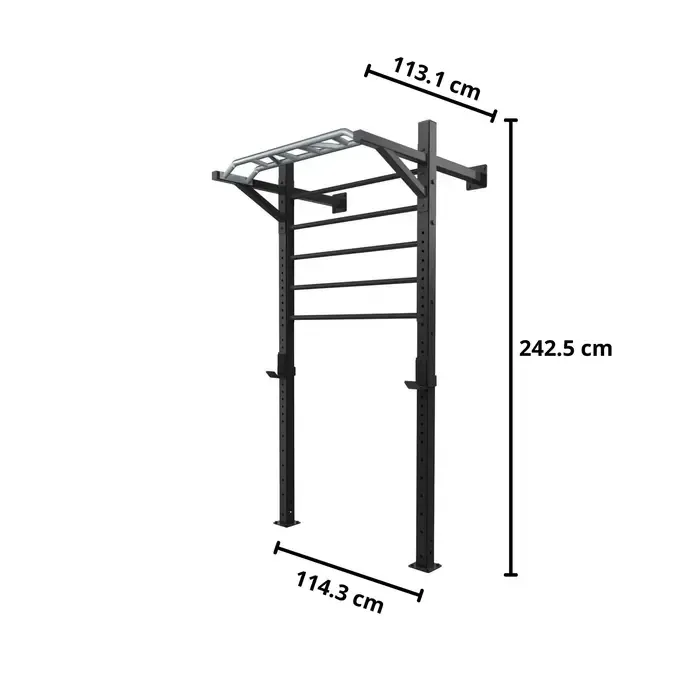 Toorx Professional LDX-5000 Wallbar Staal