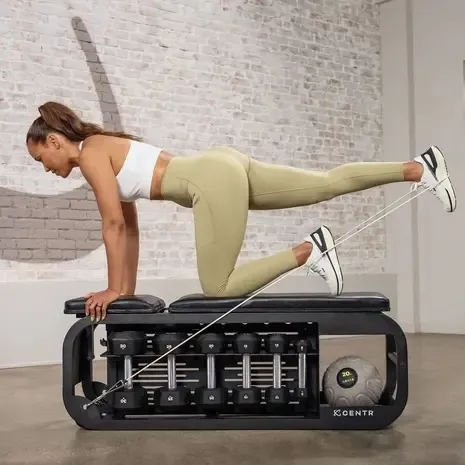 Centr CFB1.1 Fusion Bench