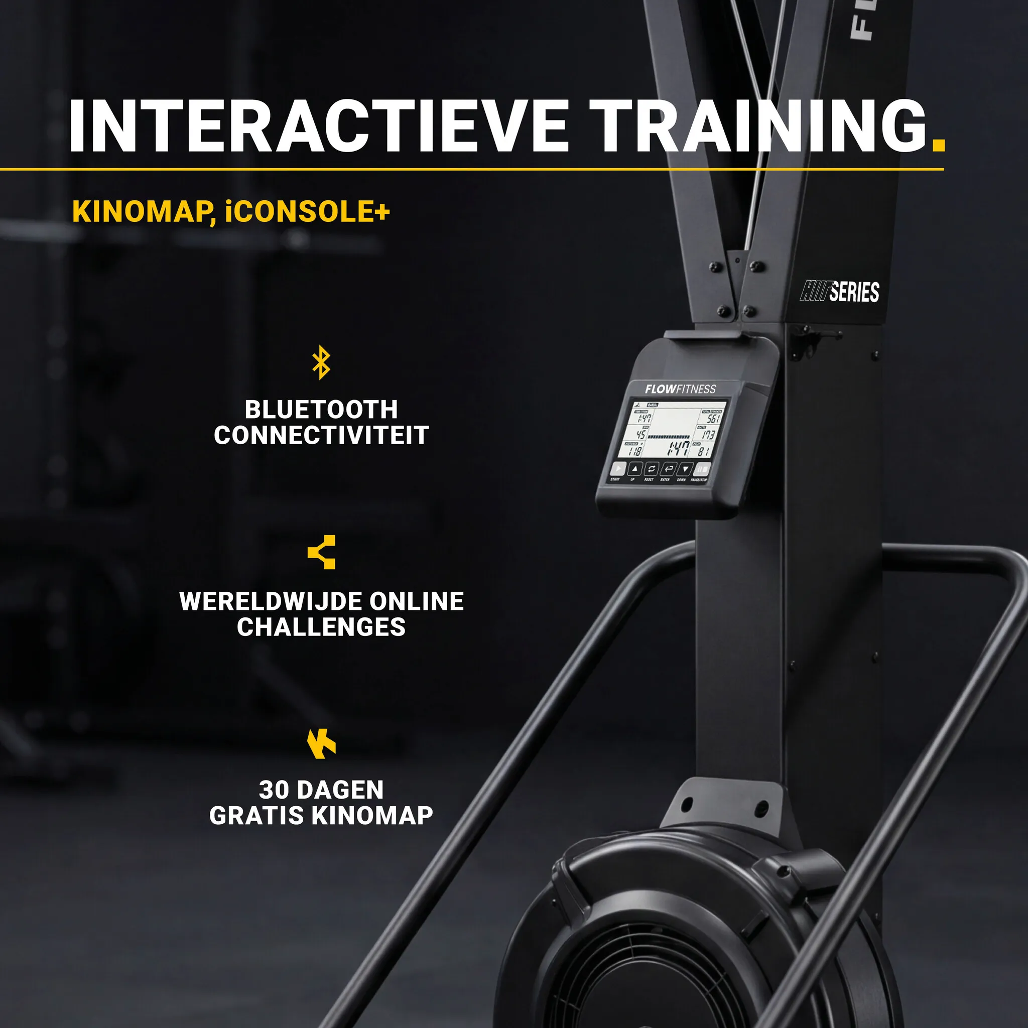 Flow Fitness Flow Fitness Perform Pro Ski Trainer