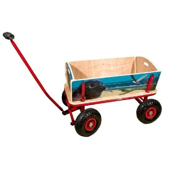 Bolderwagen Met Strandprint