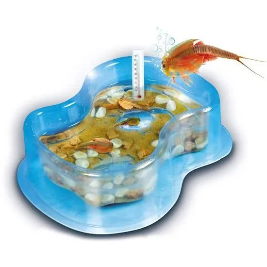 Clementoni Wetenschap Kweek Je Triops