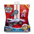 Paw Patrol  Paw Patrol Auto Skye Race & Go