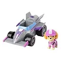 Paw Patrol  Paw Patrol Auto Skye Race & Go