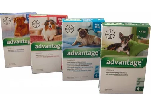 Bayer Advantage Vlooienmiddel voor honden 4 pipetten
