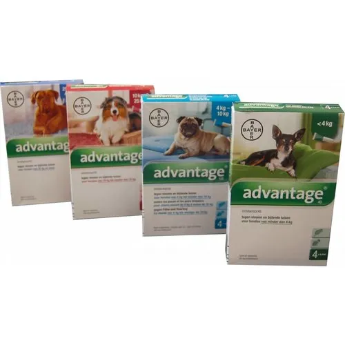 Bayer Advantage Vlooienmiddel voor honden 4 pipetten