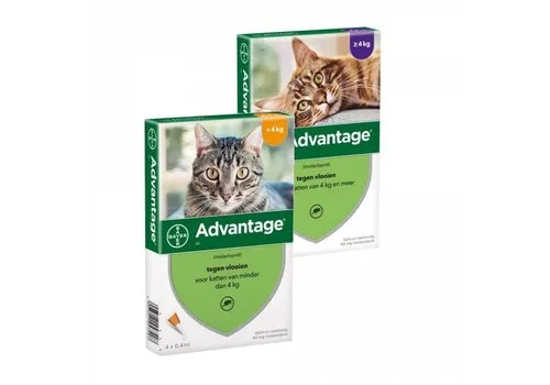 Bayer AdvantageVlooienmiddel voor katten 4 pipetten