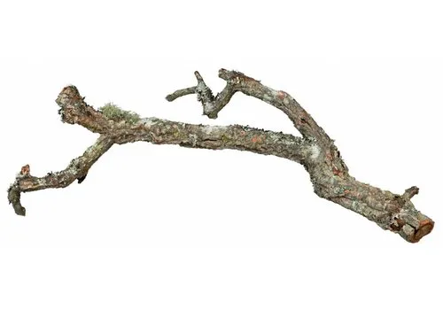 Trixie Tronchos kurkstronken mix 15 kg