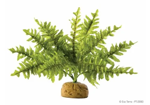 Exo Terra Boston Varen Kunstplant