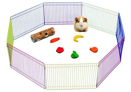 Pawise Knaagdierenren met 8 panelen | 36 x 23 cm