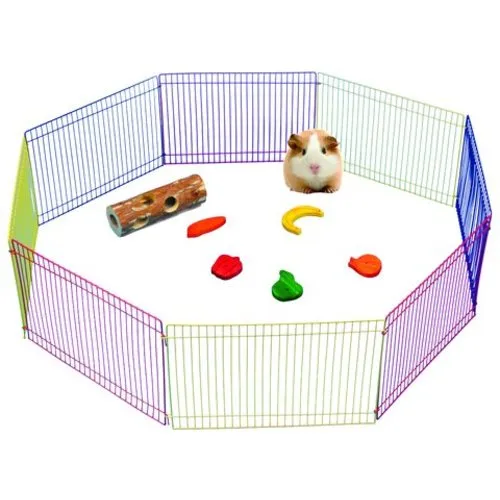 Pawise Knaagdierenren met 8 panelen | 36 x 23 cm