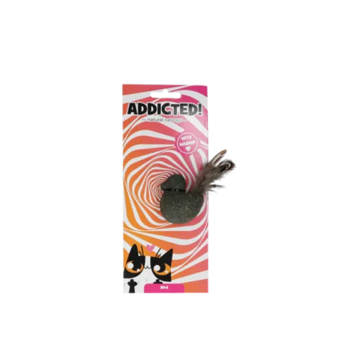 Addicted Vogel Met Veren
