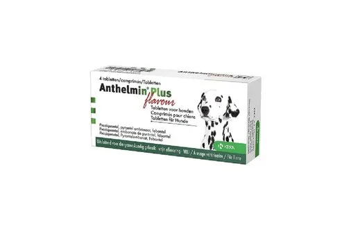 KRKA Ontwormingstabletten Hond en Pup | 4 Deelbare Tabletten | Tegen Spoel-, Haak- en Lintwormen