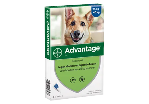 Bayer Advantage Vlooienmiddel Hond vanaf 25 kg | 400 mg | 4 pipetten van 4 ml