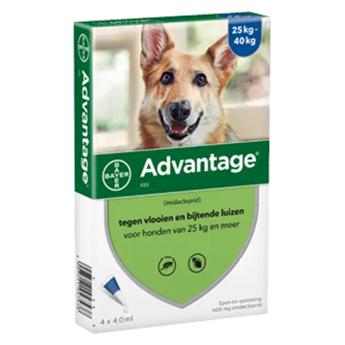 Bayer Advantage Vlooienmiddel Hond vanaf 25 kg | 400 mg | 4 pipetten van 4 ml
