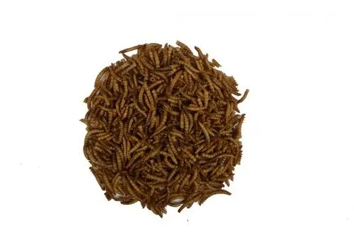 Wielink Gedroogde Meelwormen 10 kg