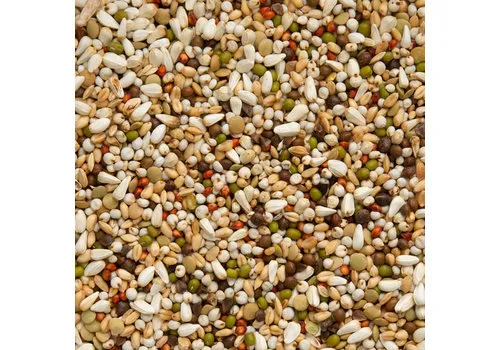 Beyers Premium Wal Zoontjens Yellow 20 kg