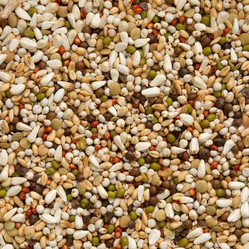 Beyers Premium Wal Zoontjens Yellow 20 kg