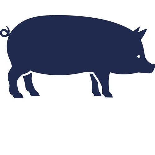 Varkens