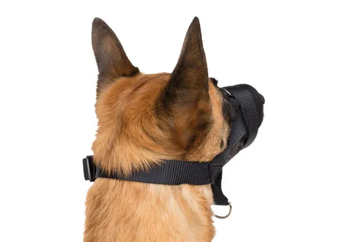 Trixie Snuitje verstelbaar met neopreen voering