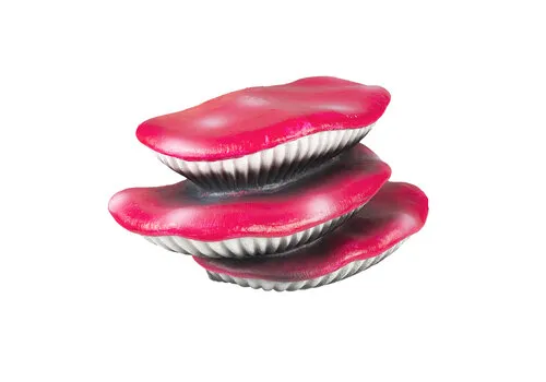 Terra Della Floating deco zwammen roze terrarium decoratie