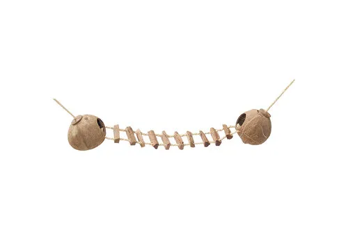 Ebi Coconut Globehouse met ladder