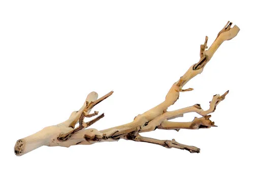 Exo Terra Natuurlijke klimplanttak Forest Branch