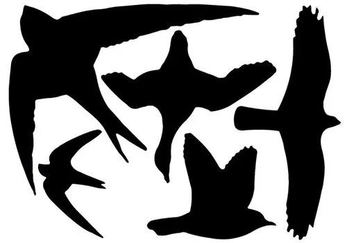 AllesTegenOngedierte.nl Raamstickers Vogel