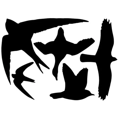 AllesTegenOngedierte.nl Raamstickers Vogel