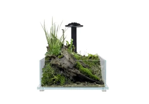 Wabi Kusa Bio Tank Black | 32 x 20 x 14CM