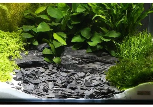 Dennerle Natural Gravel 5KG